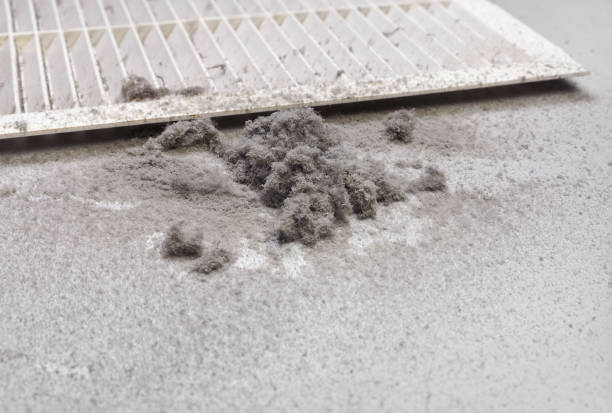 Best Affordable Duct Cleaning Services  in Floydada, TX